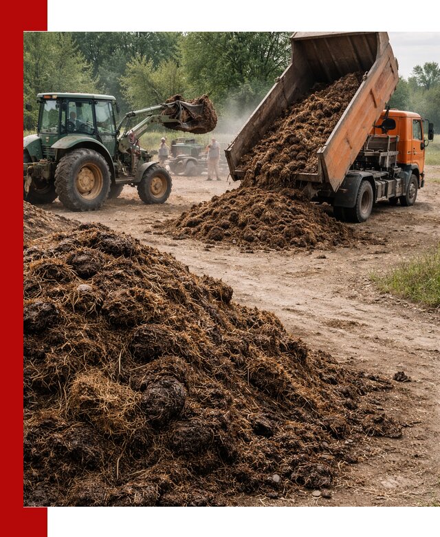 Доставка навоза самосвалами в Краснодаре для сельхозпотребностей