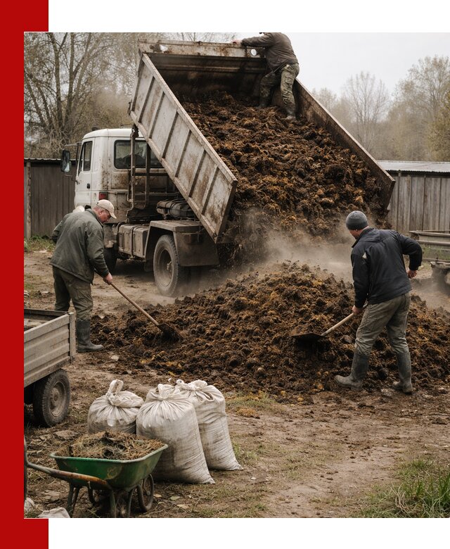 Доставка коровьего навоза самосвалом в Краснодаре